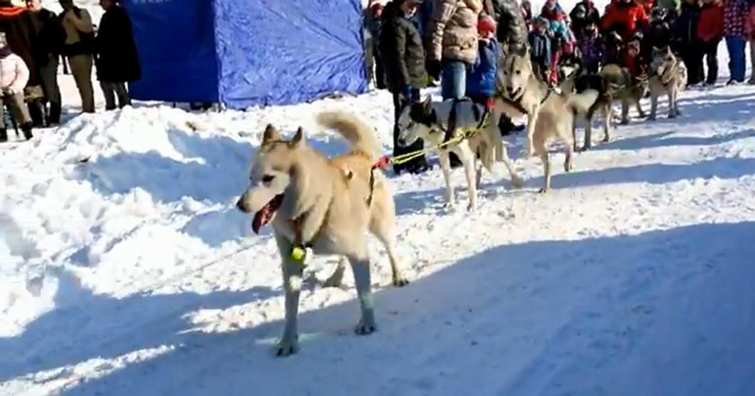 V zbojnickie łostatki