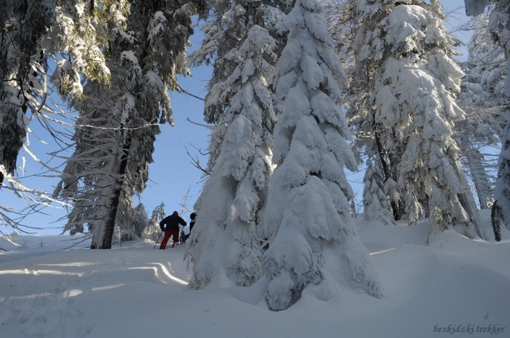 Wyprawa na Halę Rysiankę