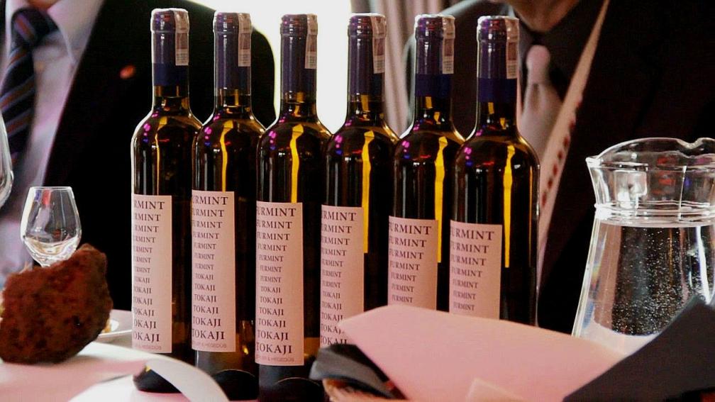 Degustacja win w hotelu Zacisze